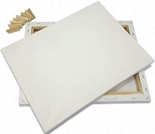 Artist canvas pack set painting