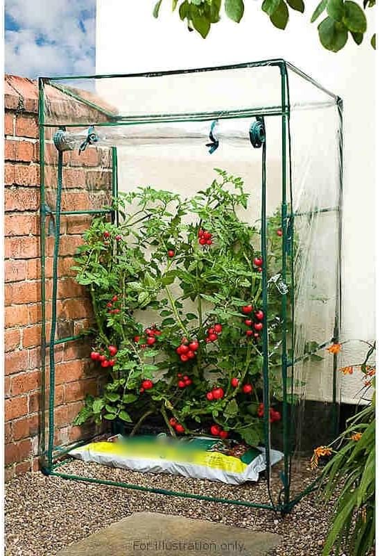 Mini grow house greenhouse for growing vegetables plants outdoor garden