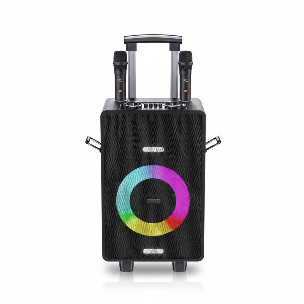 Karaoke machine with 2 wireless microphones BZ004