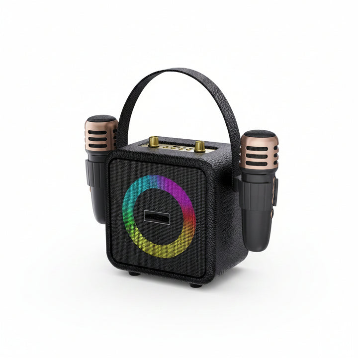 Karaoke machine with 2 wireless microphones BZ010