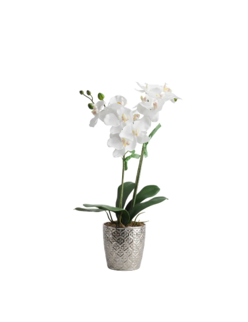 Elegant Artificial White Orchid in Silver Pot – Sparkle Decors