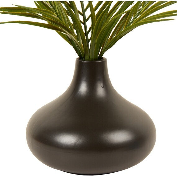 Palm plant in black ceramic vase décor