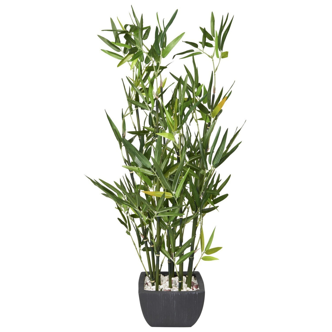 Bamboo in black terracotta pot