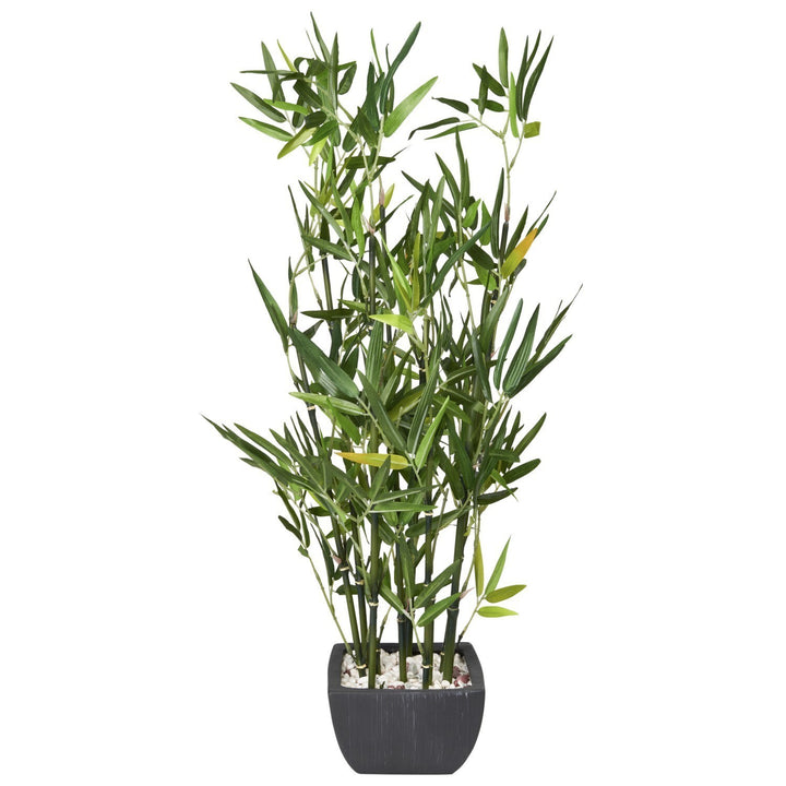Bamboo in black terracotta pot