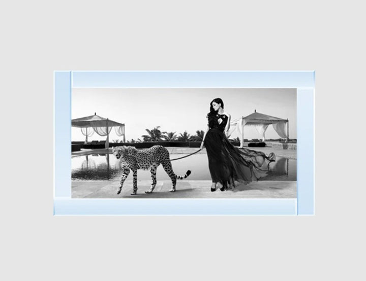 Woman with cheetah glitter wall art mirrored frame luxury decor