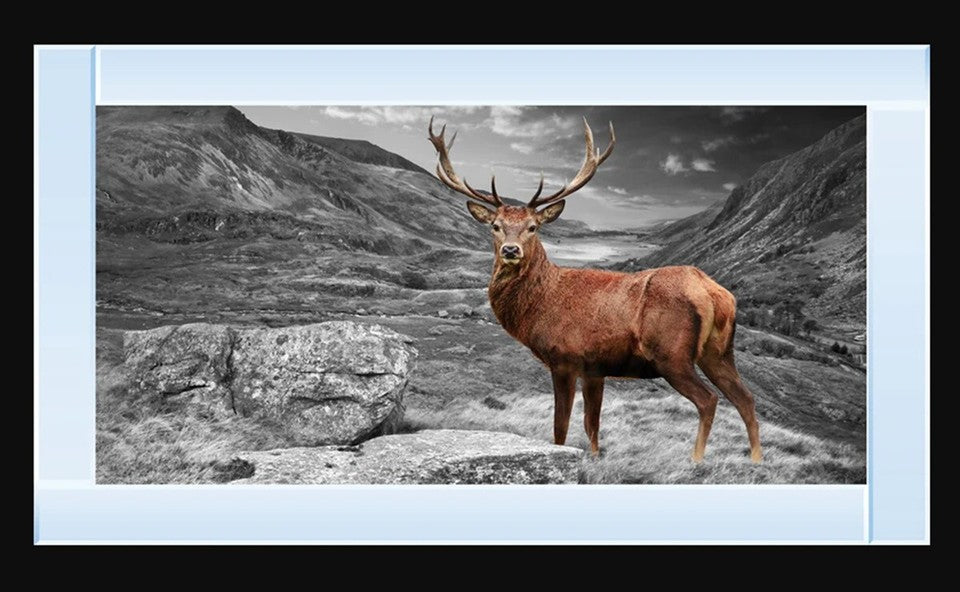 Highland stag glitter wall art mirrored frame luxury wall decor