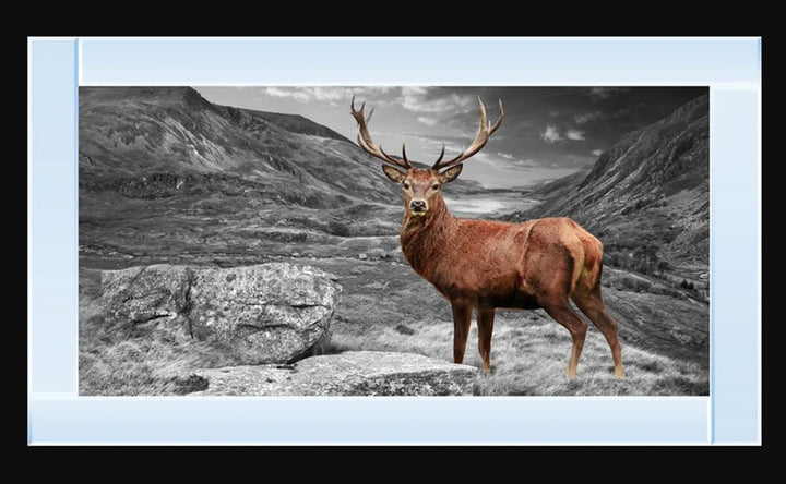 Highland stag glitter wall art mirrored frame luxury wall decor